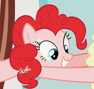 Pinkie pie