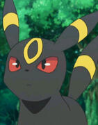 Umbreon